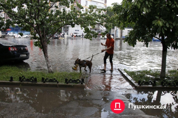 ​Потоп на Балковской и не только: последствия мощного ливня в Одессе. Фото