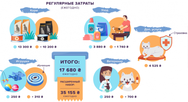 
Дорогие кошки и собаки: сколько нужно потратить на покупку и содержание
