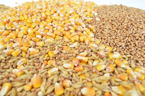 
Украина нарастила импорт и экспорт с/х продукции: как и с кем торговали
