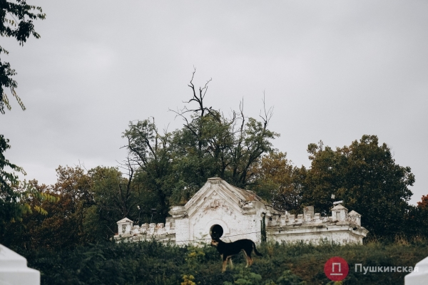 Нетуристическая Одесса, часть 2: смесь старого города и промзоны на Сахалинчике. Фоторепортаж
