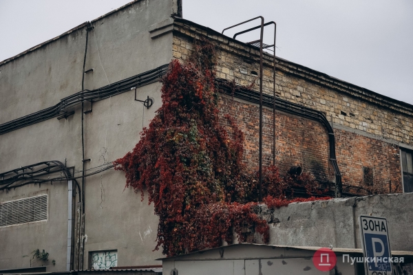 Нетуристическая Одесса, часть 2: смесь старого города и промзоны на Сахалинчике. Фоторепортаж