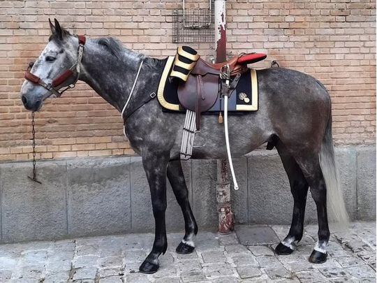 Макрон подарував Єлизаветі II до Платинового ювілею незвичайний подарунок