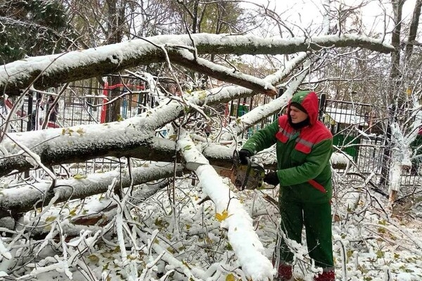Непогода в Одесской области: какая обстановка на утро 28 ноября 
