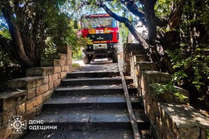 В Одессе возле Трассы здоровья вспыхнул пожар: подробности