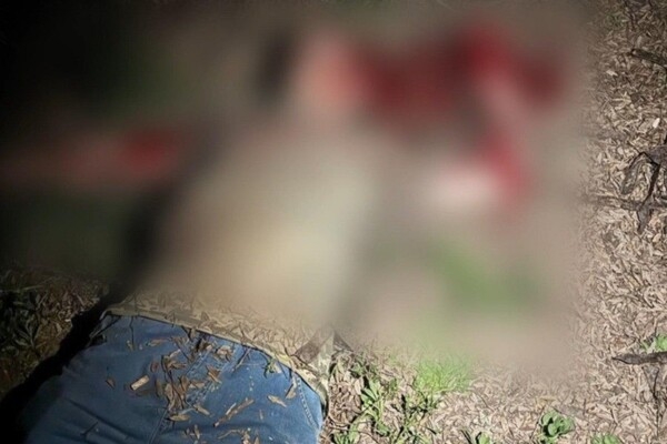 Женщина из Одесской области заказала убийство брата: не хотела делить с ним наследство